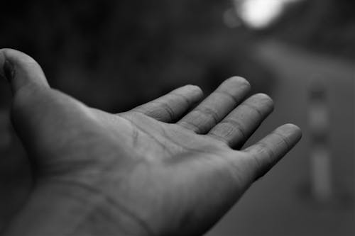 Monochrome Photograph of a Person's Hand