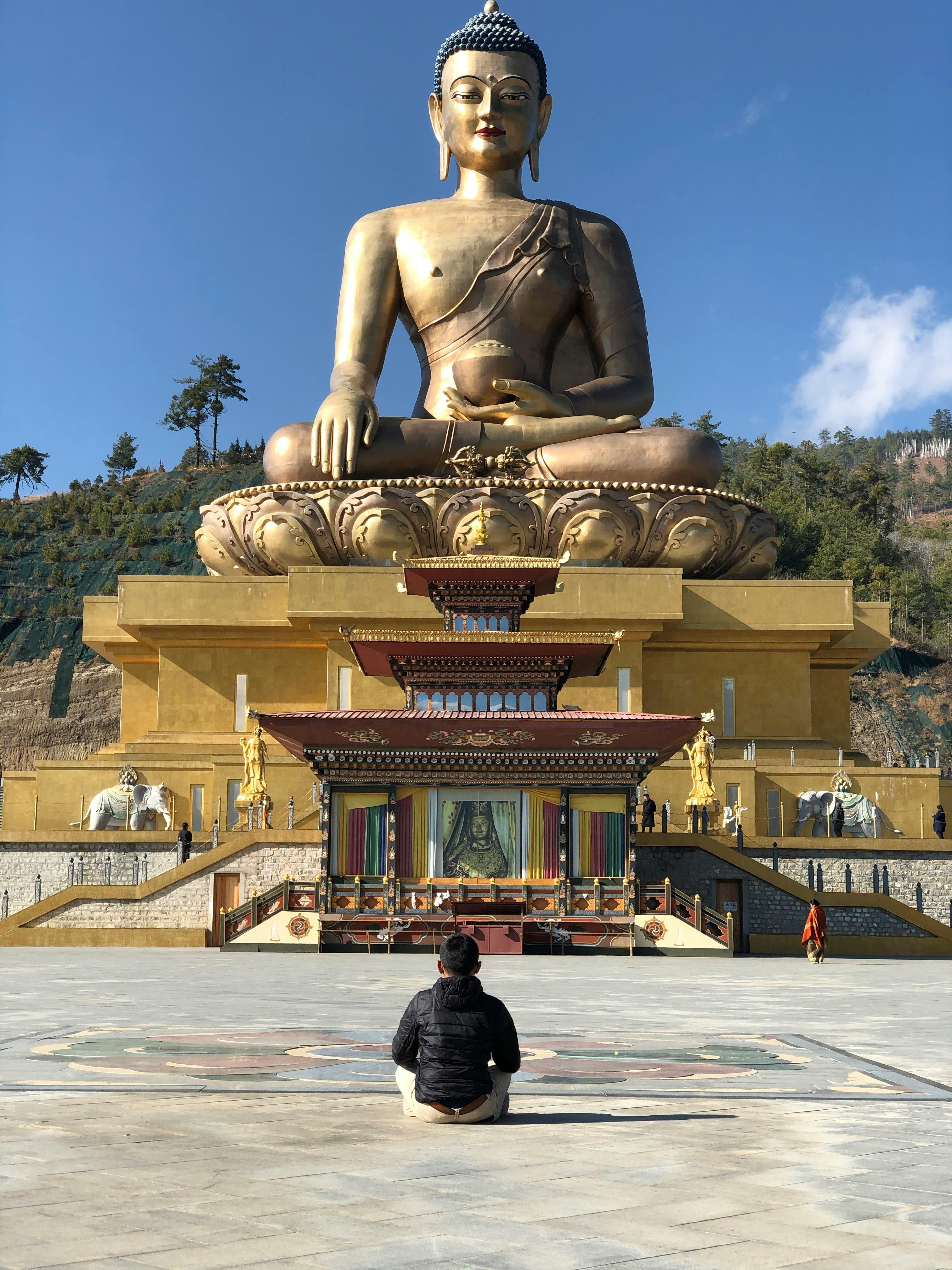 Man Praying in Front Buddha Statue · Free Stock Photo
