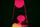 lava lamp