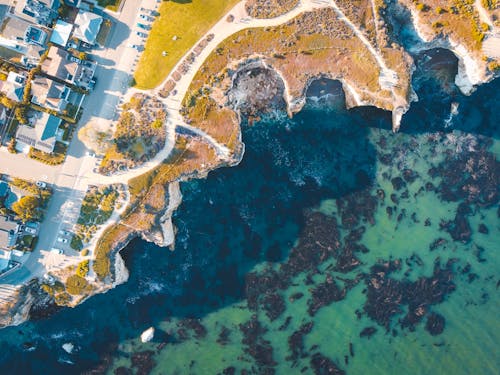 Aerial View of Coastline