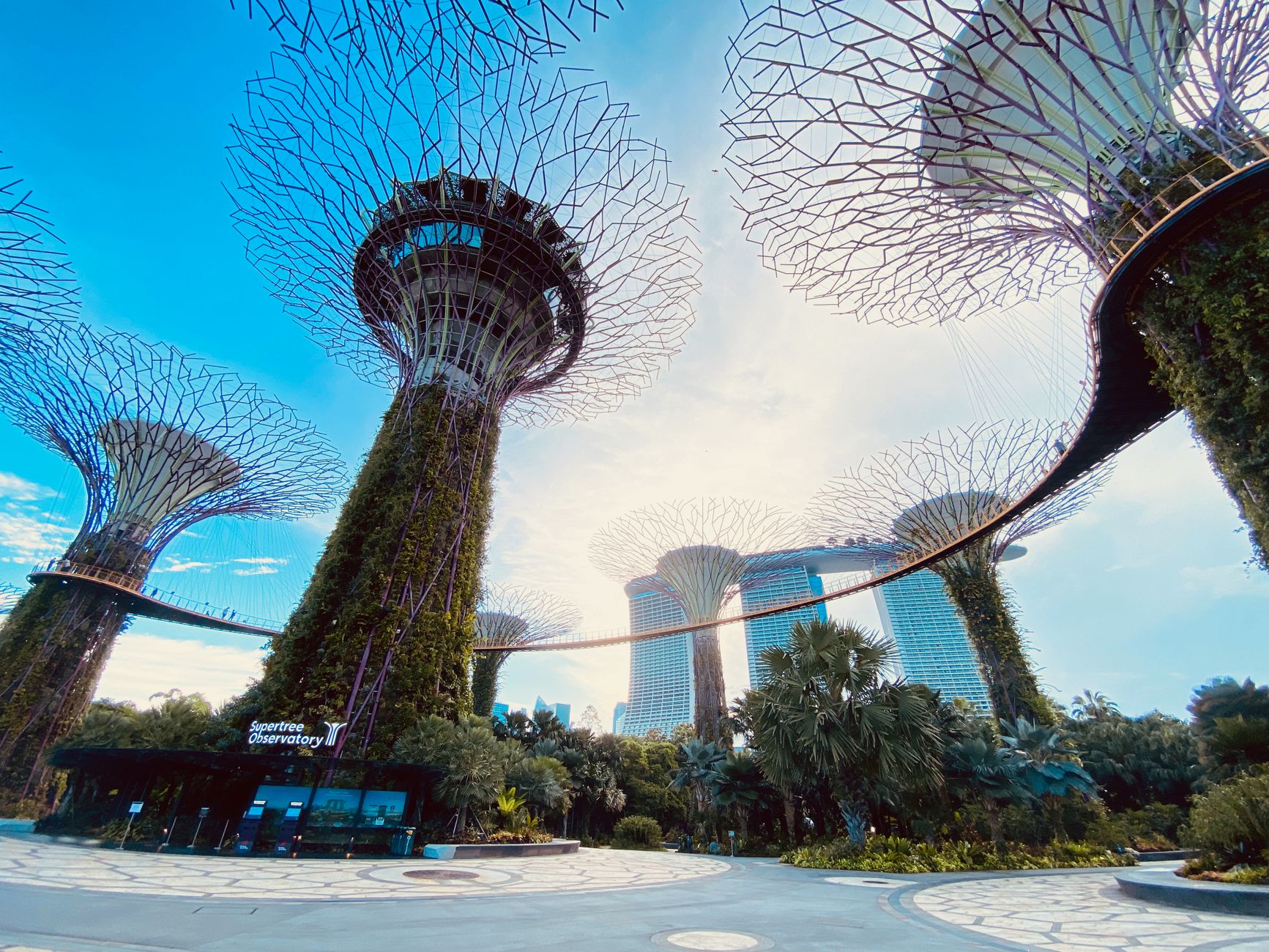 A lush urban park in Singapore with city skyline in the background.