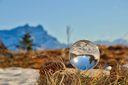 Free Glass Ball on Brown Nest Stock Photo