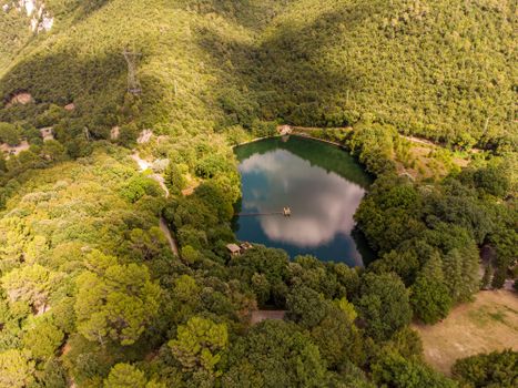 Aerial View of Lake Surrounded by Trees