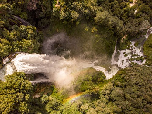 Gratis lagerfoto af droneoptagelse, grøn, natur