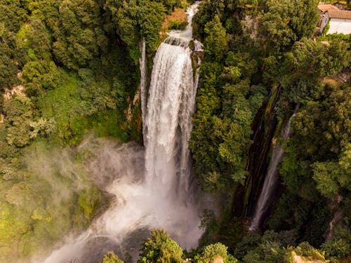 Waterfall in the Middle of Green Trees