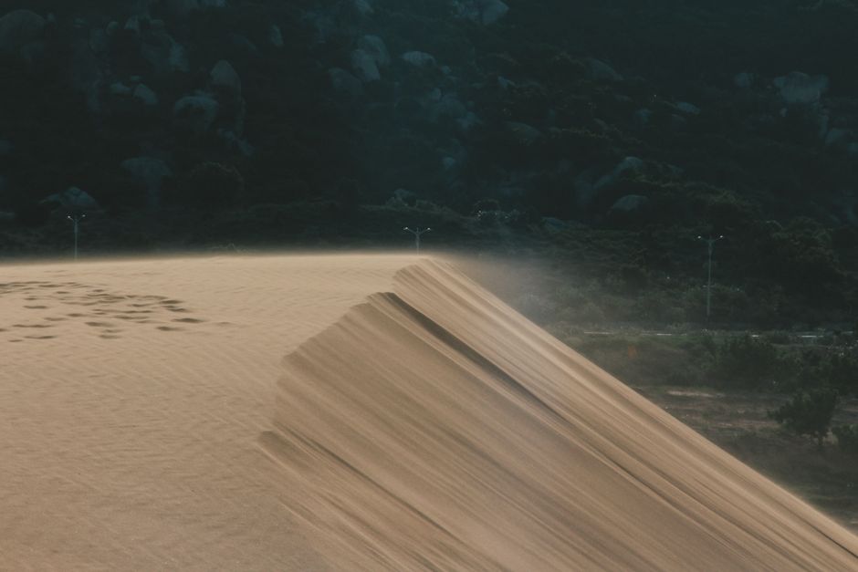 Stunning view of a sand dune in a desert landscape with electric posts and trees in the background.