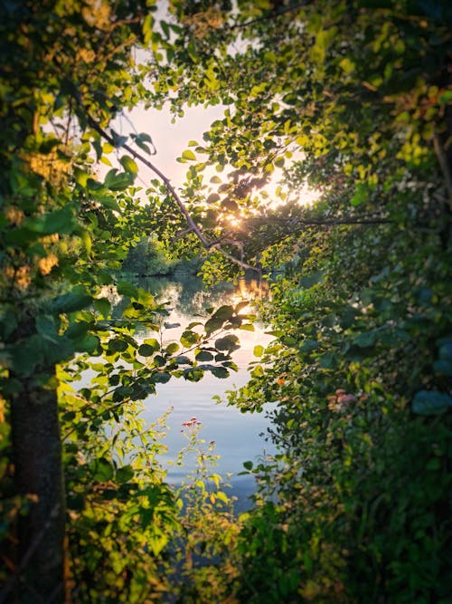 Základová fotografie zdarma na téma jezero, příroda, řeka