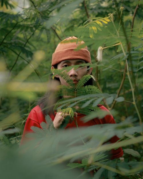 Free A person wearing a beanie is partially hidden by lush green foliage in a forest setting. Stock Photo