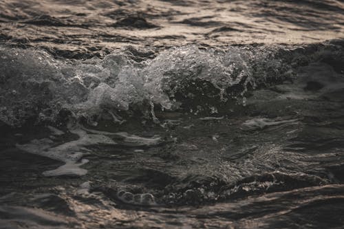 免费 天性, 流动的水, 海洋 的 免费素材图片 素材图片