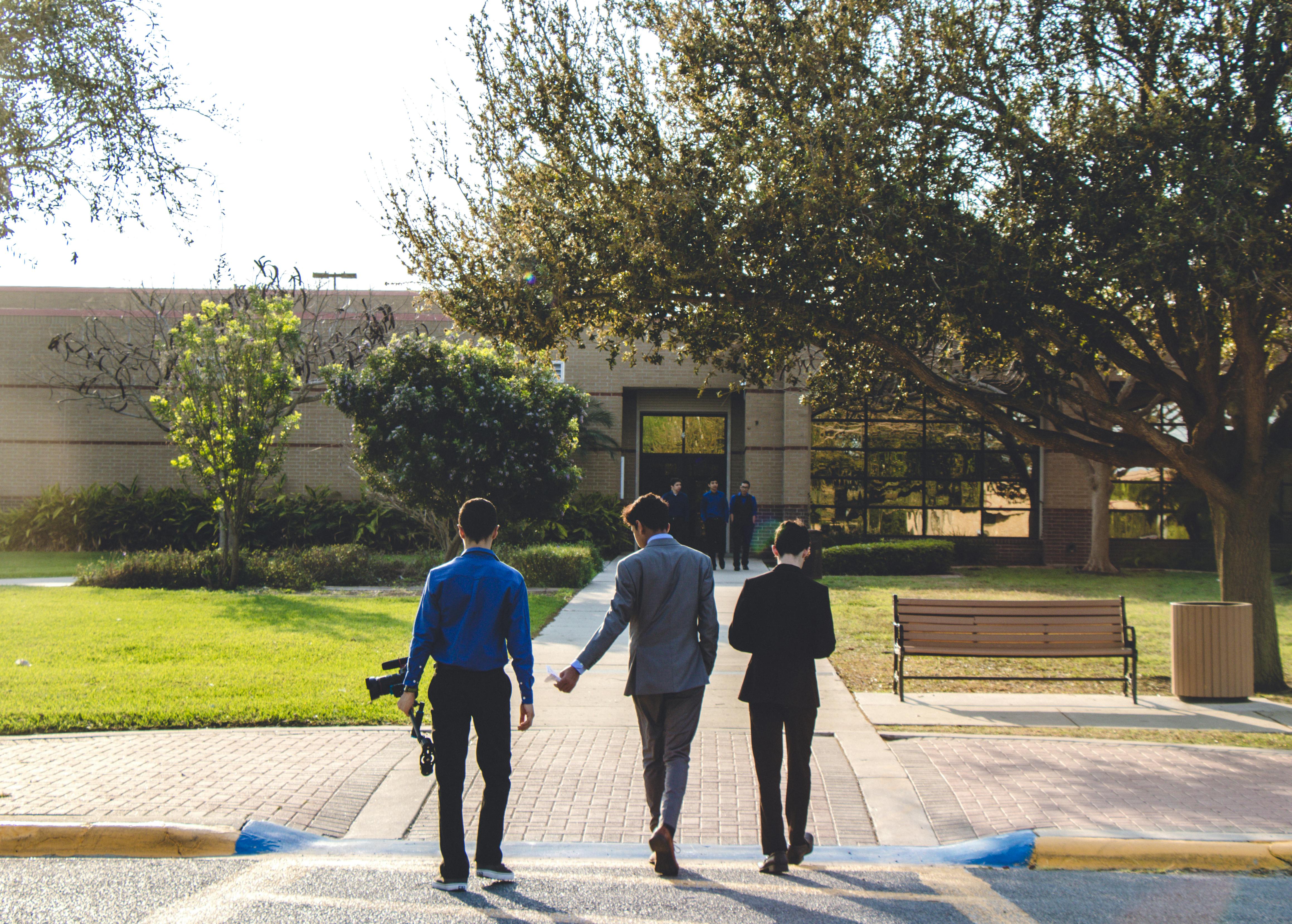 People Walking on Pedestrian Lane · Free Stock Photo