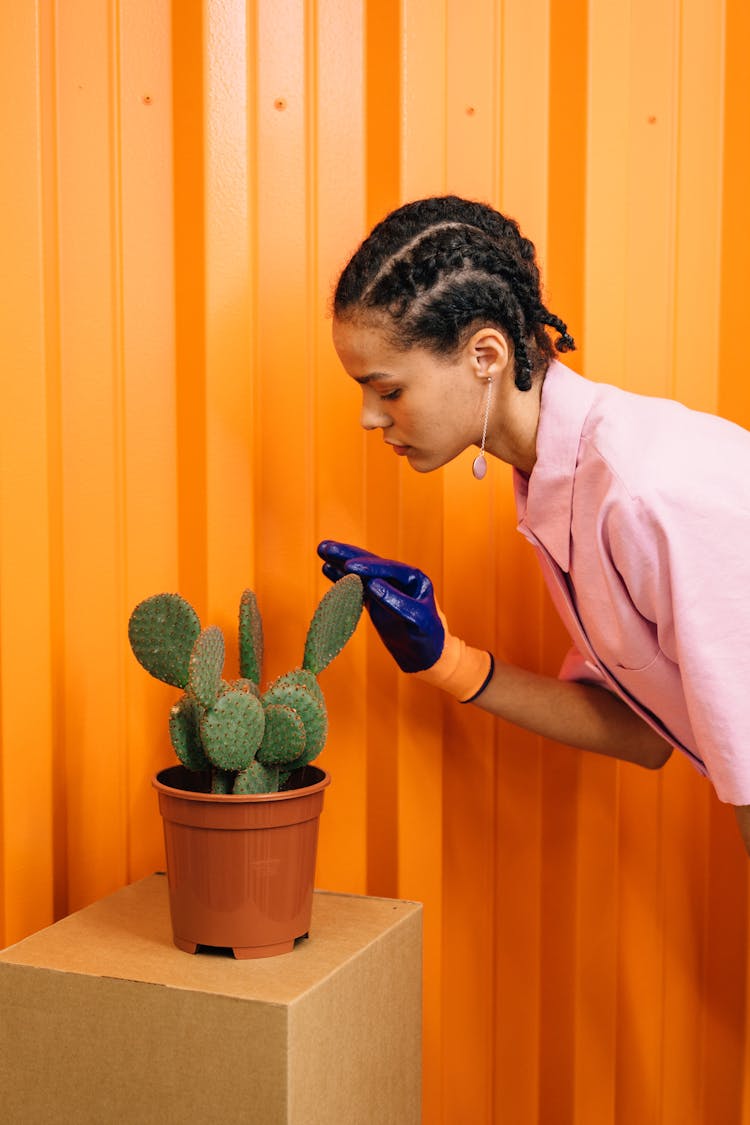 A Woman In Blue Gloves Holding A Cactus