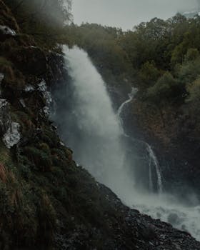 Stunning waterfall in lush Dombai forest, showcasing natural beauty and tranquility.