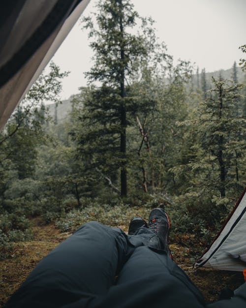 View of a Forest in Mountains from the Perspective of a Person Lying in a Tent 