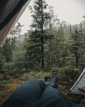 Experience relaxation in a forest tent site in Murmansk, Russia. Perfect for adventure seekers.