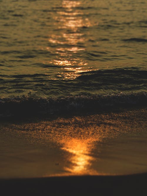 Základová fotografie zdarma na téma mávání, moře, odraz světla