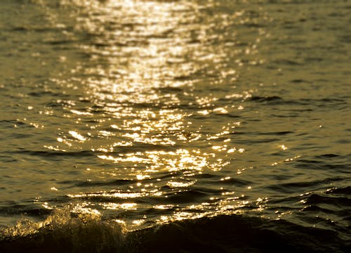 Безкоштовне стокове фото на тему «вода, впритул, Захід сонця»