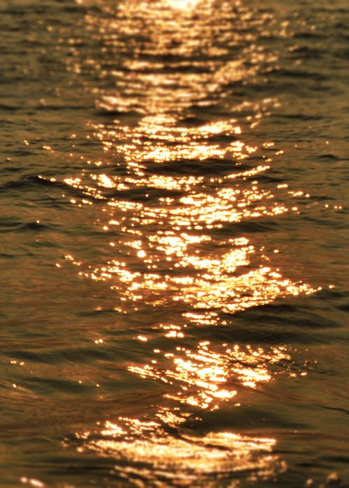 Close-up of Sunset Reflecting in a Water Surface