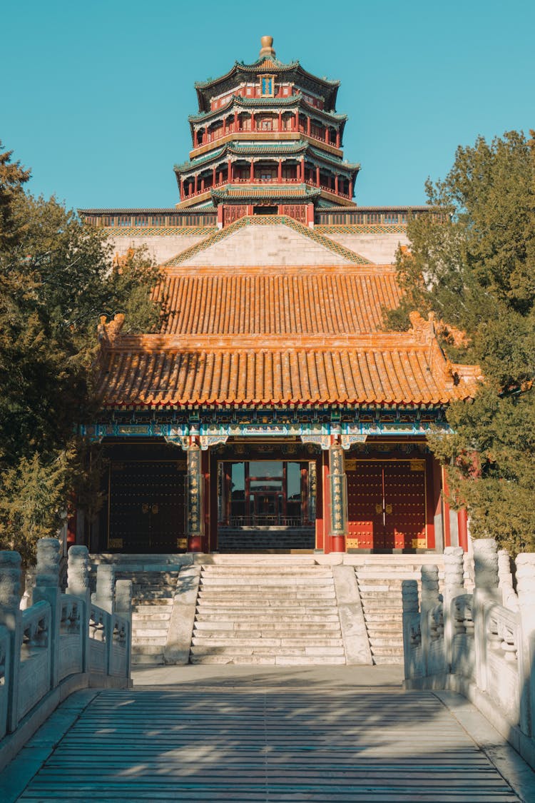 Trees Near Summer Palace In Beijing China 