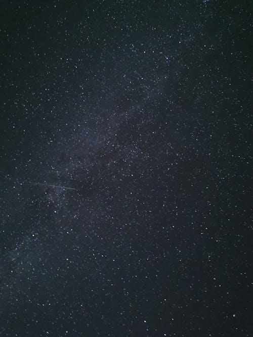 Free Countless Stars in the Night Sky Stock Photo