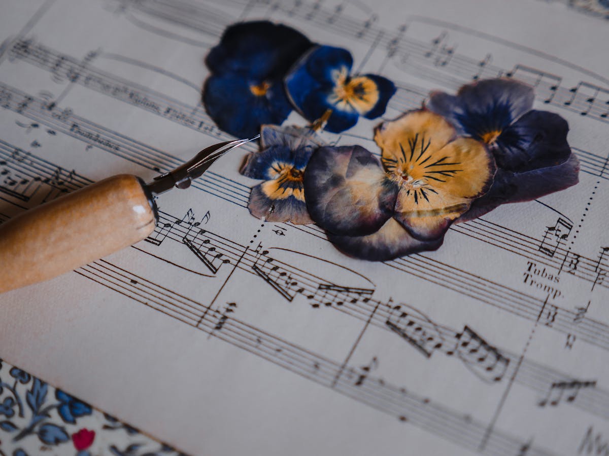 Blue and yellow pansy flowers on music sheet