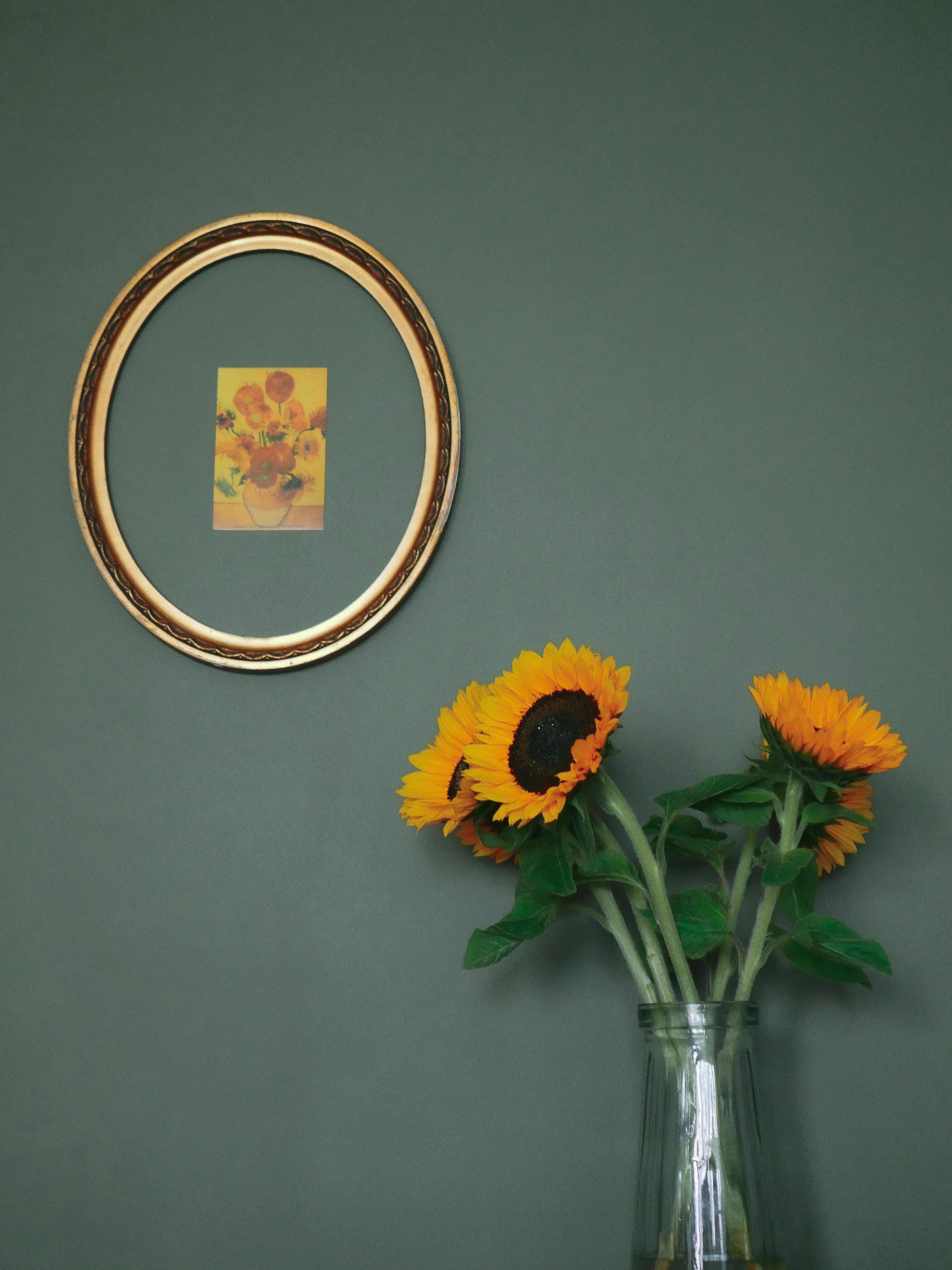 What is God's free gift of his life?