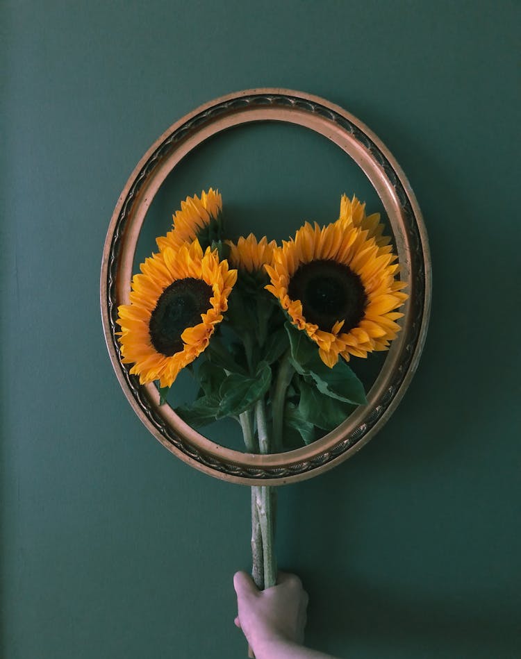 Tied Bouquet Of Sunflowers In Wooden Frame