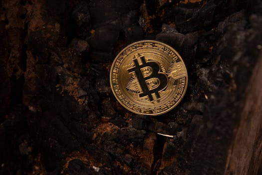 Detailed image of a Bitcoin coin placed on a charred, burnt background, symbolizing the rise of cryptocurrency.