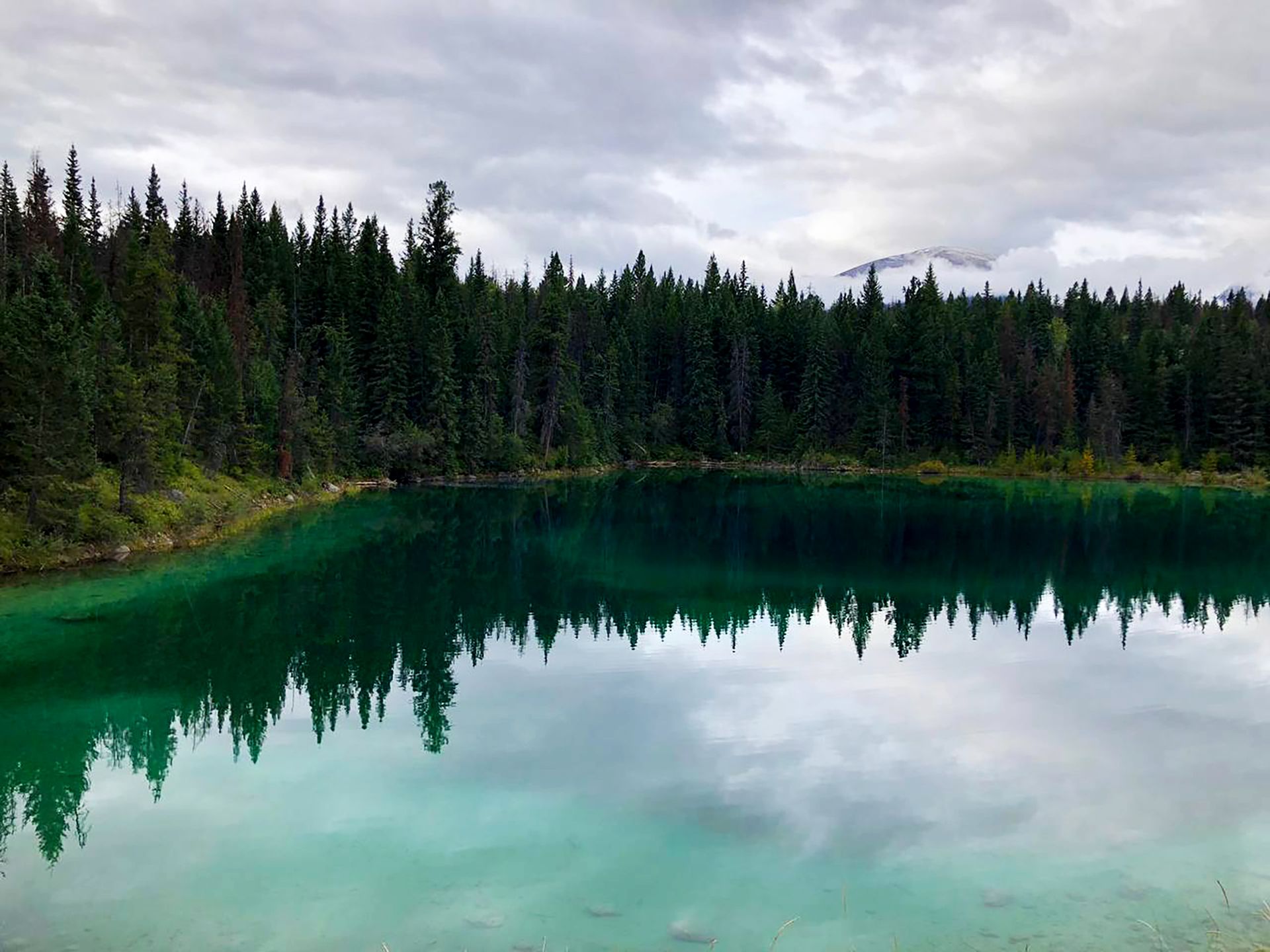 Tranquil lake in forest with clear reflections of dense green pine trees, creating a serene landscape.