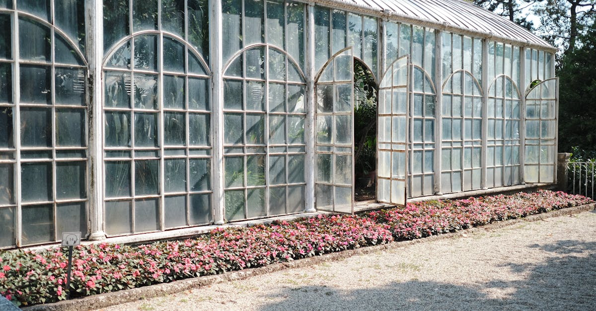 Les Différents Types de Cultures Sous Abri