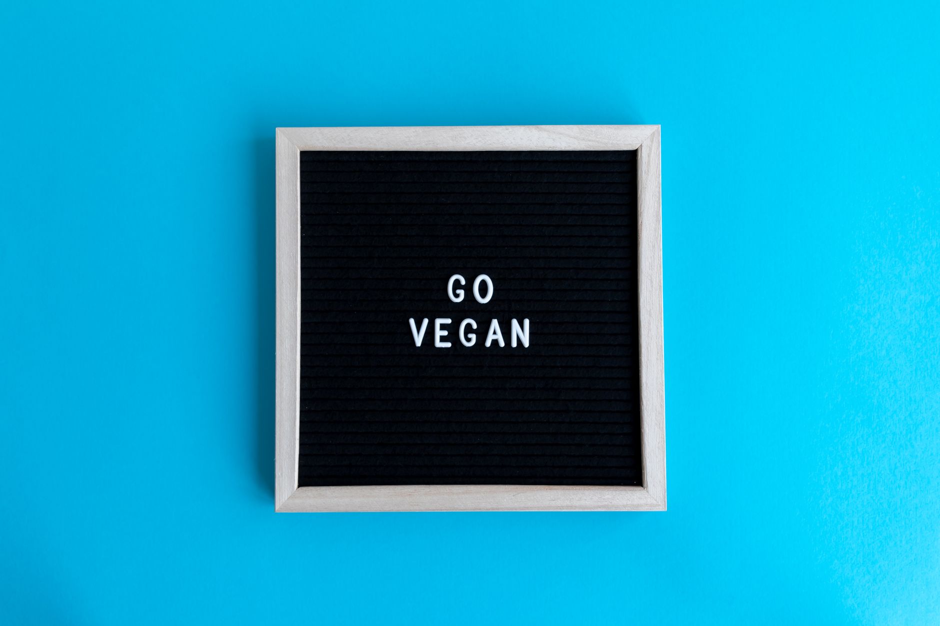 A minimalist styled letter board featuring a 'GO VEGAN' message on a blue background.