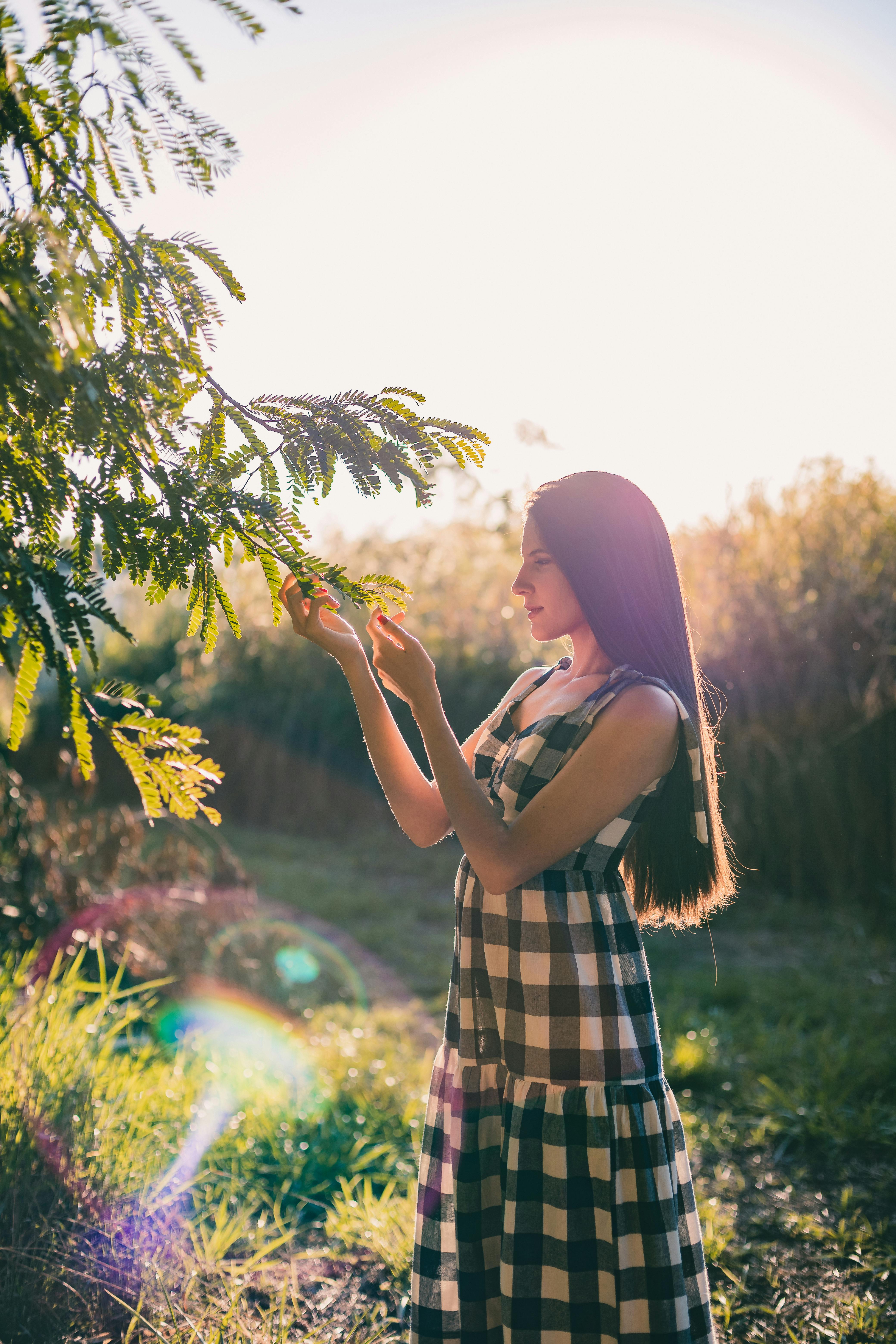 What is the most luckiest plant?