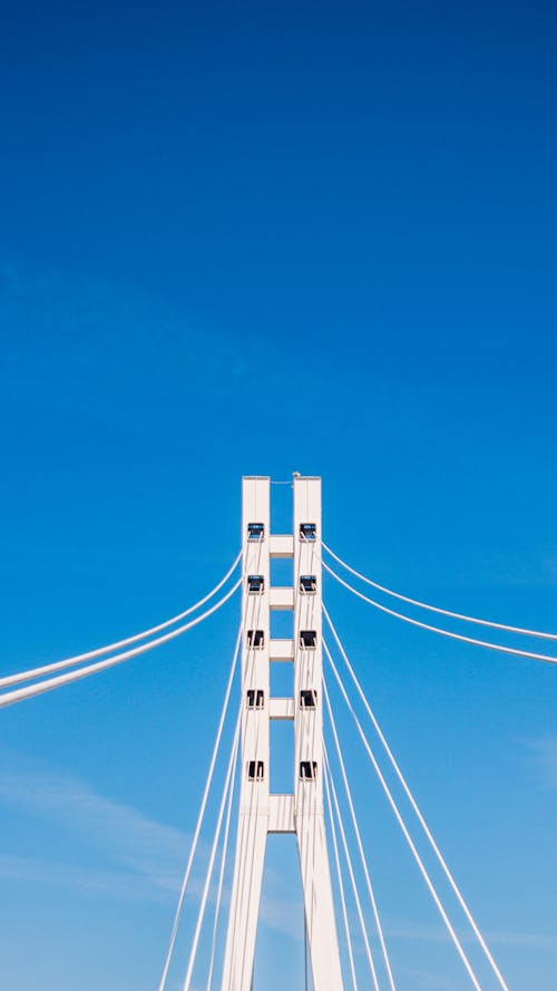 Foto d'estoc gratuïta de arquitectura, cables de suspensió, cel blau