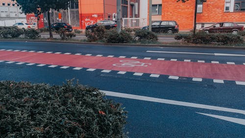 Exclusive Bicycle Lane on the Road