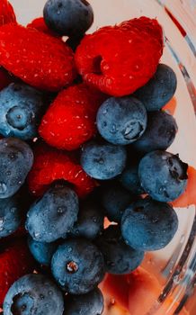Mixed Berry Mixed Berry Plant-based Protein & Greens Fruit & Vegetable Powder Drink Mix — kidney-friendly food