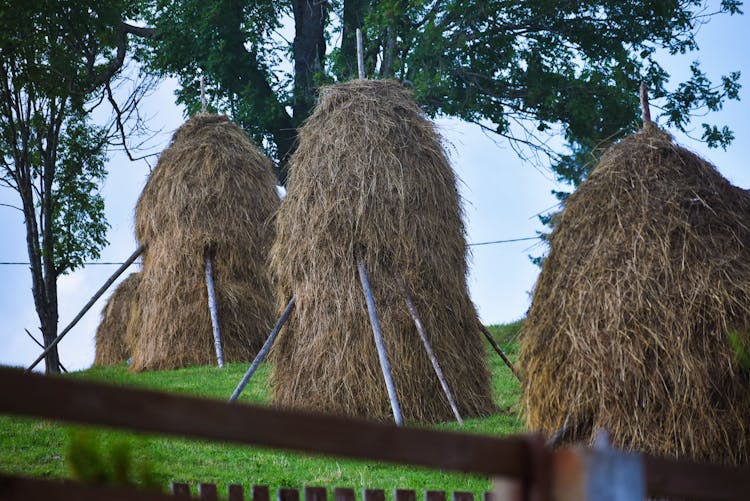 Haystacks On Farm