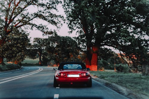 ağaçlar, cabrio, kırmızı araba içeren Ücretsiz stok fotoğraf