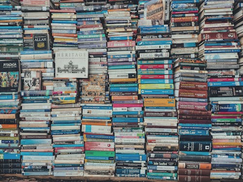 Stack of Books on Wooden Shelf