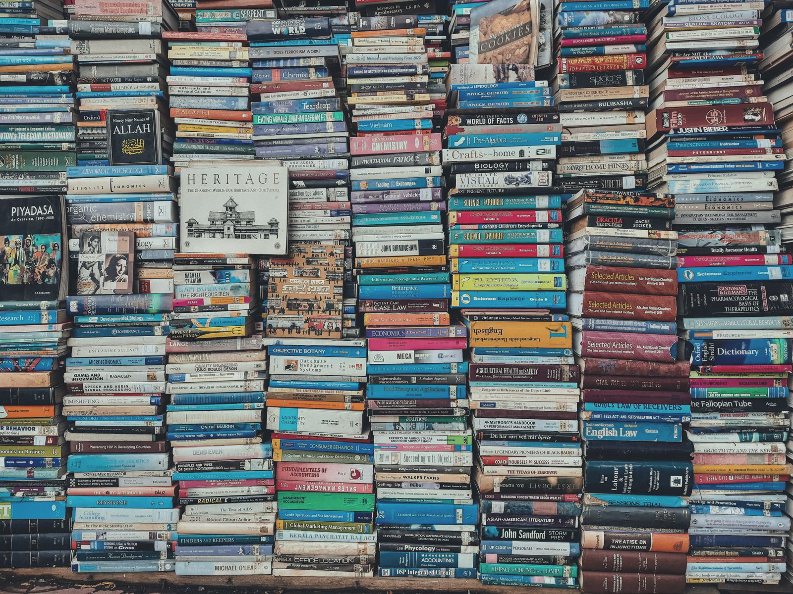 Argentine publisher joins first Book Fair in Ciudad del Este