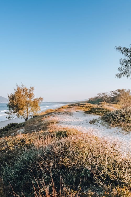 Gratis lagerfoto af bakke, himmel, landskab