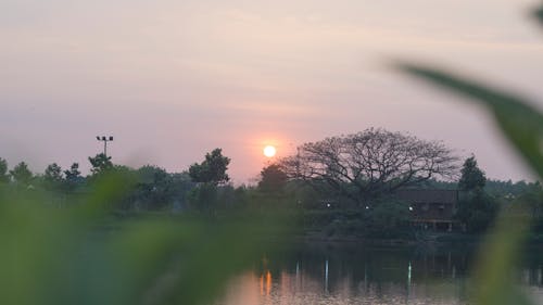 Free stock photo of sunset