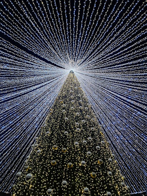 Ingyenes stockfotó fény, Karácsony, karácsonyfa témában