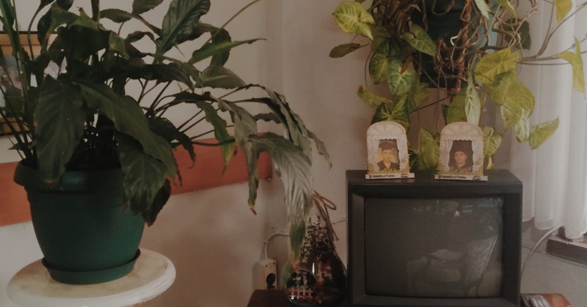 How to check TV inch