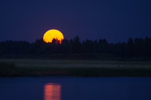 Безкоштовне стокове фото на тему «великий місяць, відображення, дерева» стокове фото