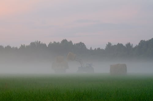 Fog in Meadow and Tractor with Haycocks