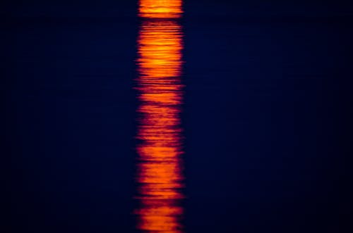 Sunlight Reflected in Water at Sunset