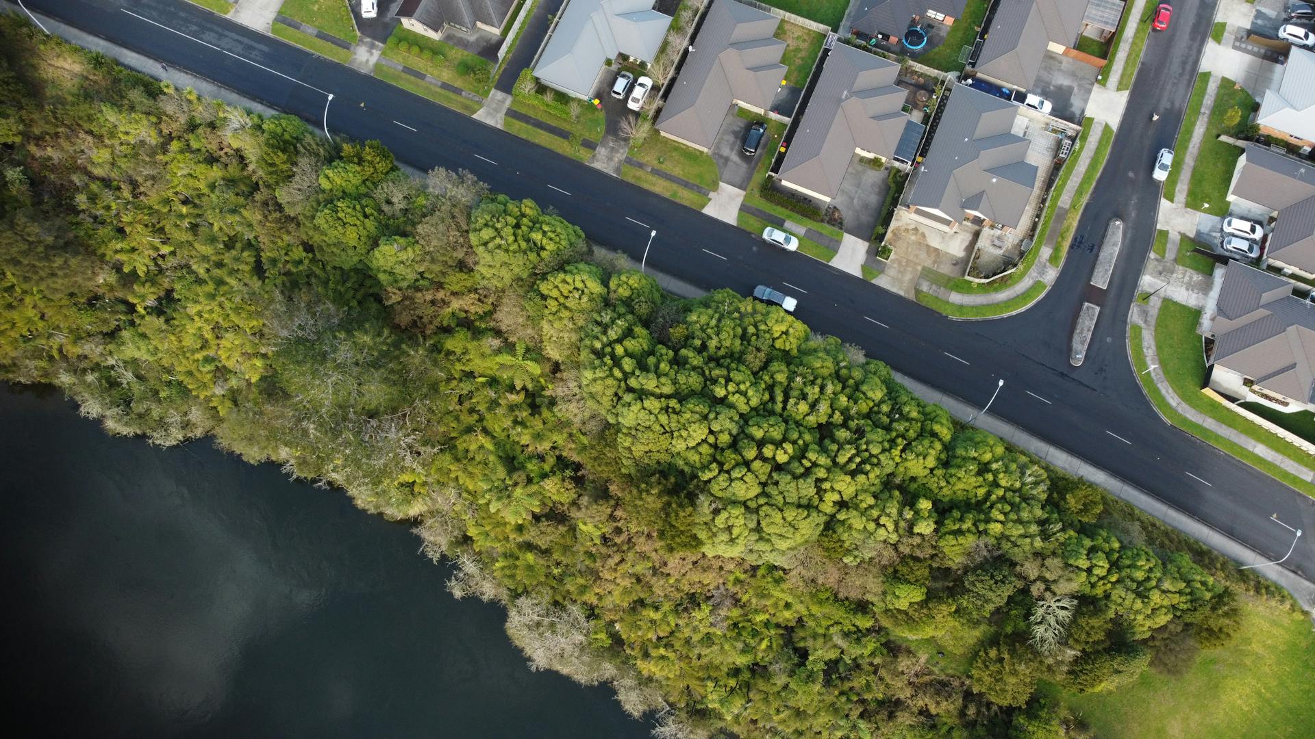 Drone shot of Hamilton suburb revealing houses, road, dense greenery, and a river.