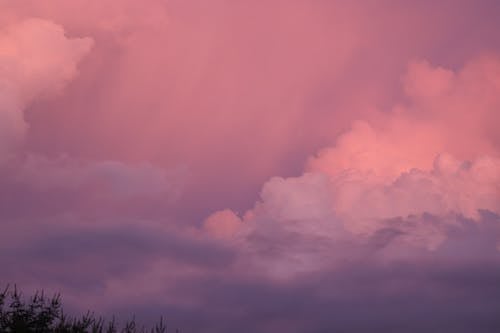 Clouds and the Pink Sky