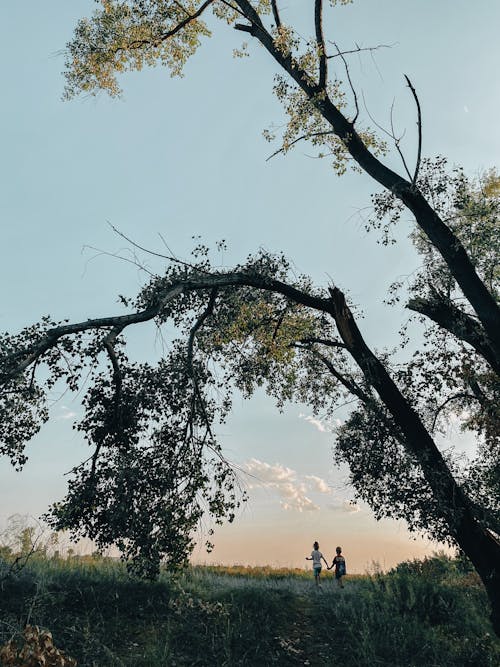 Children Walking on a Grass Field