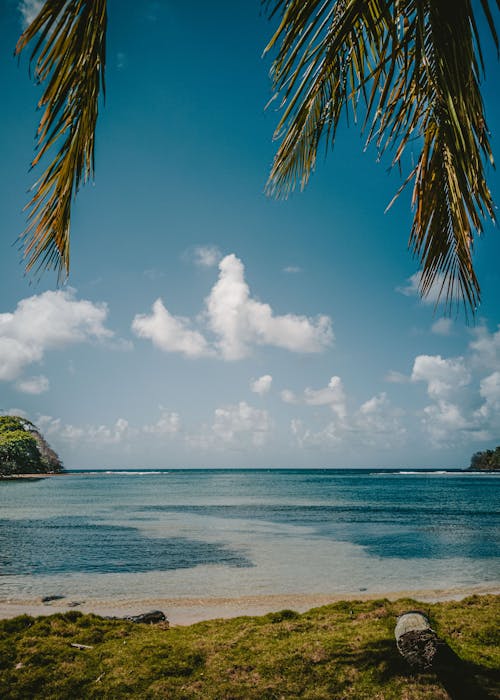 Seascape from a Tropical Island 