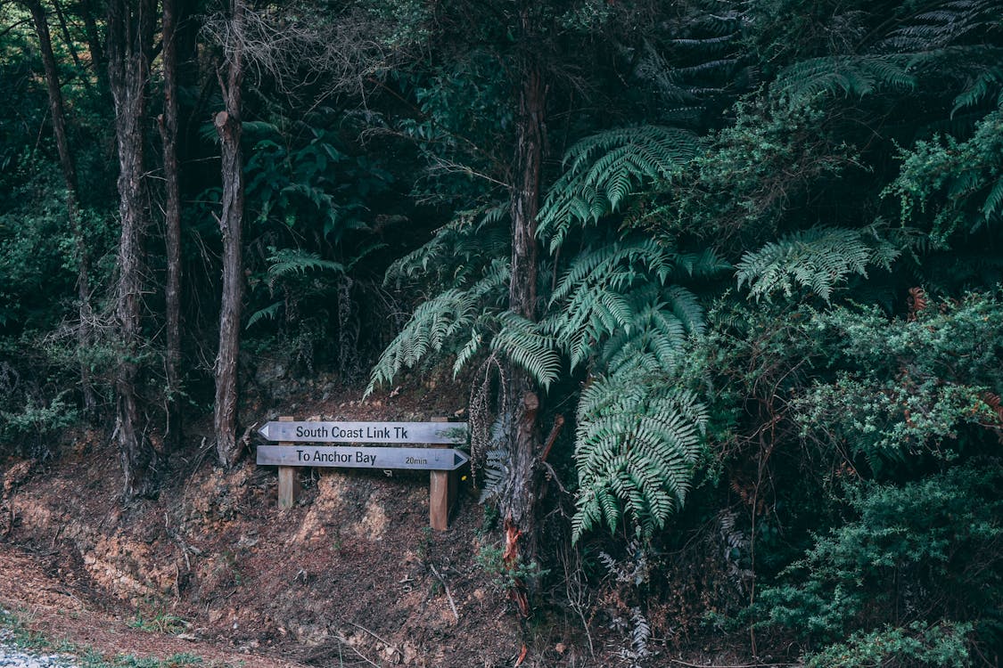 Brown Wooden Signage Near Trees at Daytime